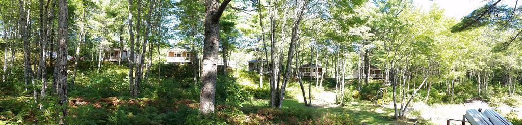 Roseway River Cottages Шелберн Экстерьер фото