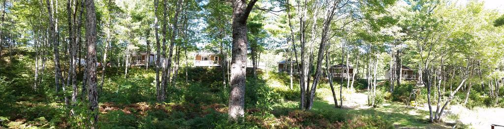 Roseway River Cottages Шелберн Экстерьер фото
