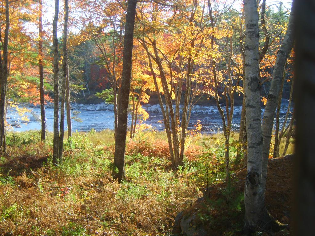 Roseway River Cottages Шелберн Экстерьер фото