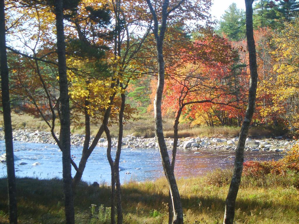Roseway River Cottages Шелберн Экстерьер фото